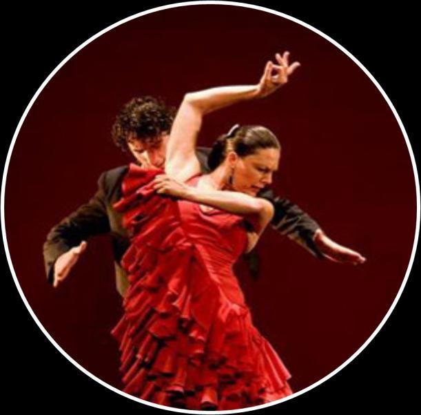 Attend a Flamenco show of ancient gypsy dances while enjoying a splendid view of the Alhambra.