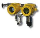 GAS BROOKS DETECTION Mass Flow Controllers, Flow Meters, Pressure Control,
