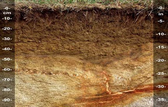 Coarse sand, extremely gravelly, extremely cobbly, or extremely stony materials should be considered limiting layers. High water tables are limiting when there is standing water in the soil pit.