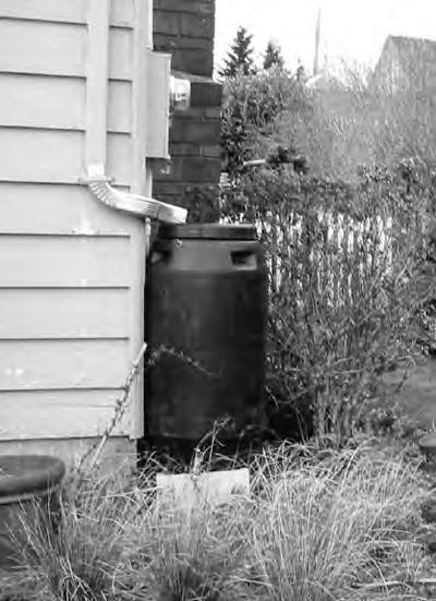 Option 4.1b: Rain barrels Rain barrels are connected directly to downspouts to collect water for future release or irrigation.