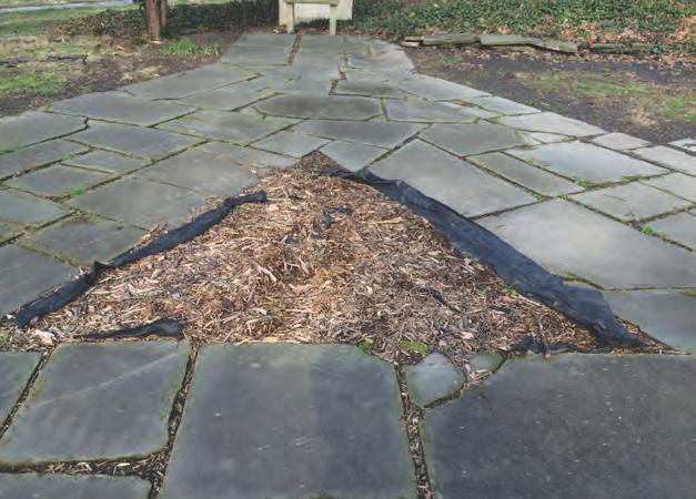 Problems in the fountain, a variety of paving repairs over the years, and declining or overgrown plantings are all adding to the feeling that the garden has seen better days.