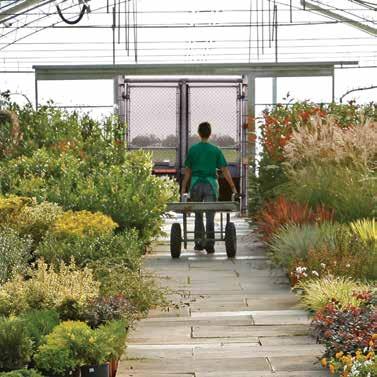 Ideal for garden centers, lumberyards, patios.