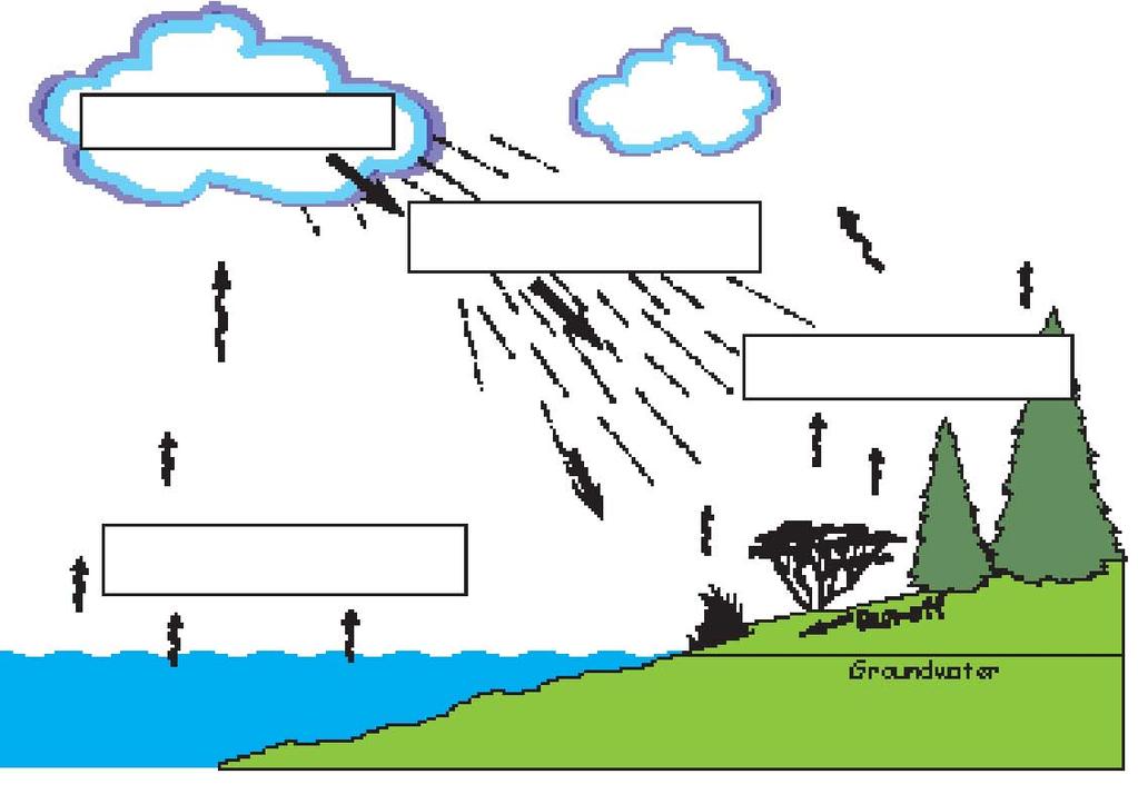 The Water Cycle This is a diagram of the water cycle. Put the correct word in each box to label what happens to water.