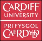 Cardiff University specializes in micro tool manufacturing using various technologies (micro EDM, micro milling, Focus Ion Beam, micro Injection moulding.