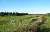 have enough water to support wetland vegetation without being dominated by open water