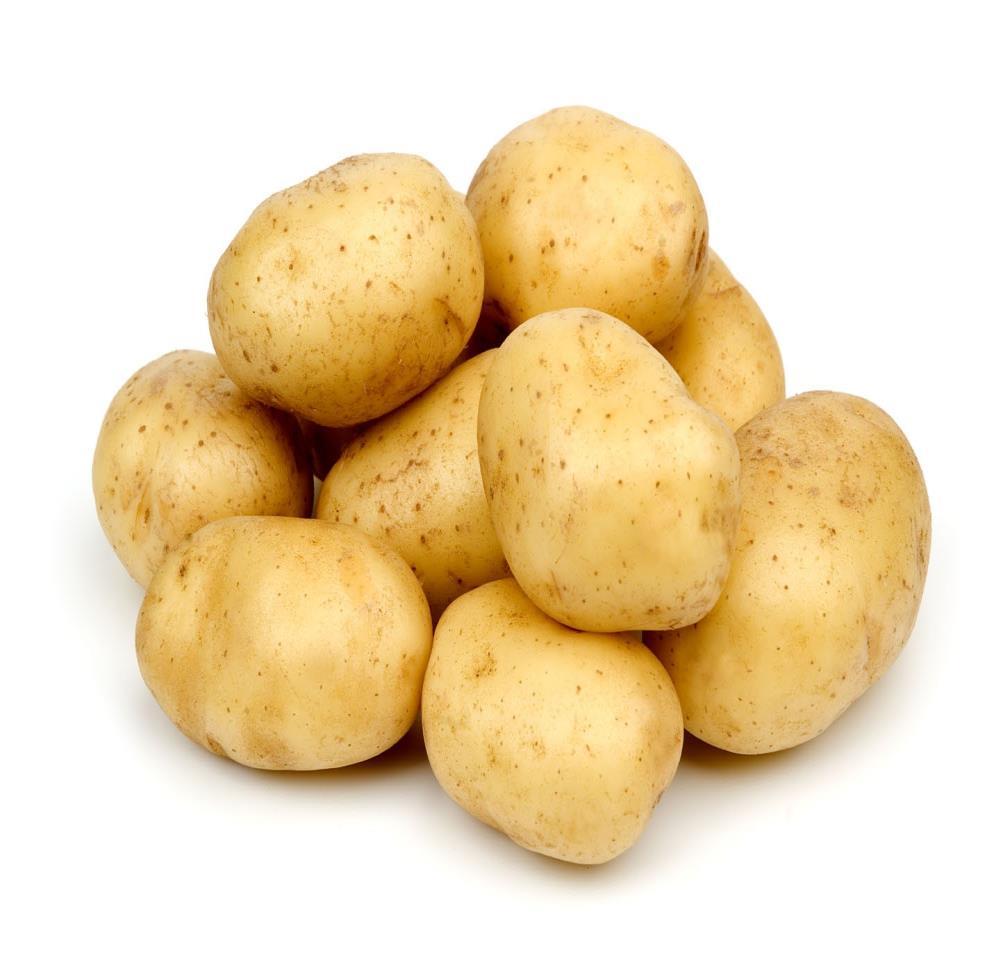The Dutch Potato Report 2016 With