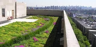 Light Weight Green Roofs Natura s System: The green roof and roof lawn system consists of the following products: HDPE Root Barrier Sheet ND Cell (Natura Drain Cell) NR Mat (Natura Roof Mat) Lawn or