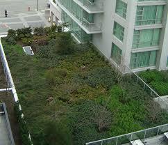 Light Weight Green Podium Natura s System: The green roof and roof lawn system consists of the following products: HDPE Root Barrier Sheet NG Mat (Natura Geo Mat) (Optional - ND Cell (Natura Drain