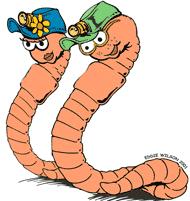 Worms DO prefer to eat: Vegetable and fruit scraps, grains, coffee grounds and filters, tea bags, small amounts of bread, and other non-greasy foods.