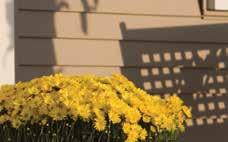 Vytec Design Idea #3: Let landscaping play a role in your exterior design. The shrubs and flowers in your yard play an integral role in the overall picture of your home s exterior.