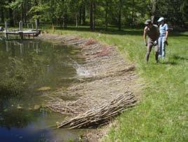 labor to the installation of the streambank stabilization practices.