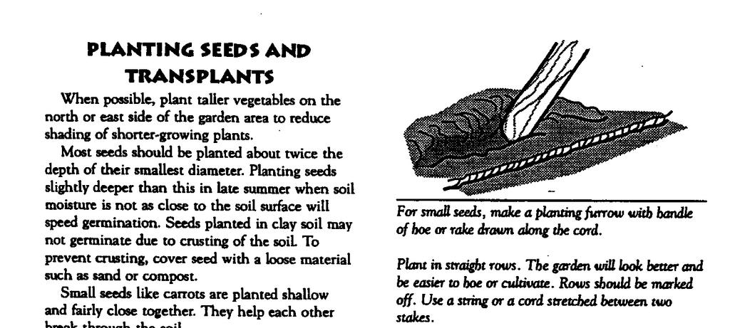 PLANTING SEEDS AND TRANSPLANTS When possible, plant taller vegetables on the north or east side of the garden area to reduce shading of shorter-growing plants.