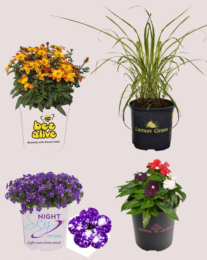 plants requested by the customers.
