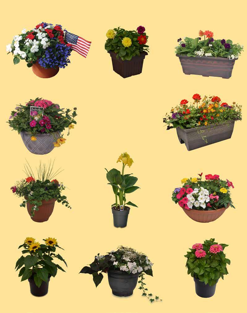 Containers 10 Red, White Blue Pot w/flag 8 Square Planter Premium Planter Box Great selection of sizes, price, colors, and textures to ensure your customer s