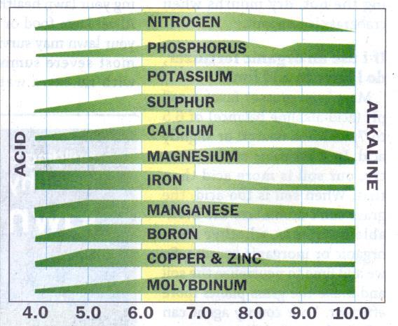 ph VS NUTRIENT AVAILABILITY WIDTH OF BAR SHOWS THE RELATIVE AVAILABILITY OF EACH NUTRIENT ELEMENT WITH A CHANGE OF