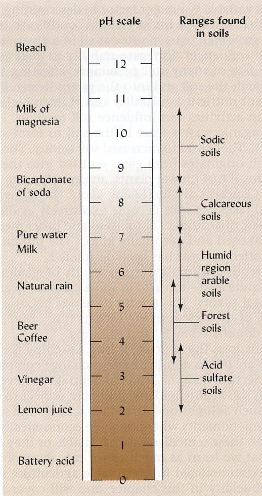 Chart showing a range of ph from 1 to 12 and the approximate ph of produces commonly used in our