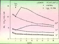 Respiratory response of lemons to ethylene at different temperatures