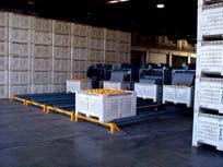 grading Fruit separated electronically as First,