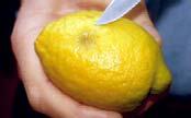 lemons Peteca Lemon Disorder External Symptoms Develops after