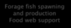 production Food web support
