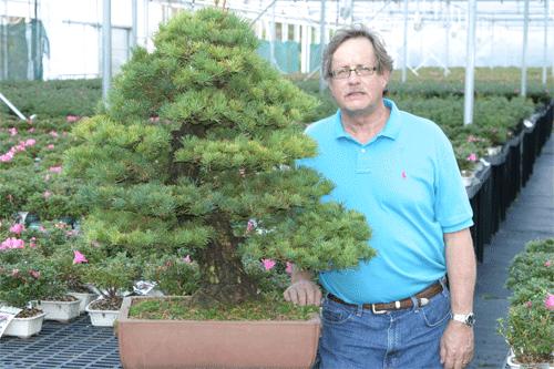 At the age of 16 he helped found the Knoxville Bonsai Society, and later, single-handedly developed the Tennessee Bonsai Exhibition, now an annual and continually expanding event.