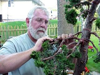 Randy Clark, USA, has been learning the art bonsai for more than a quarter century and for the past two decades, has traveled throughout the United States and Europe teaching the subject.