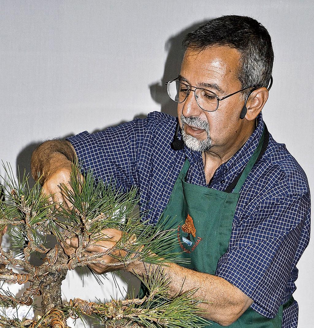 North American Demonstrators He teaches his unique Bonsai techniques throughout the New England area and the United States.
