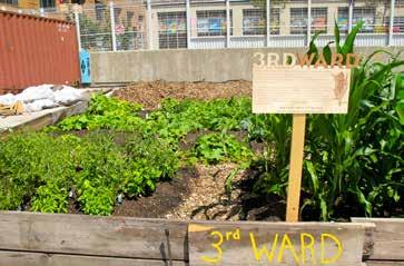 Signage in community gardens provide educational and community art