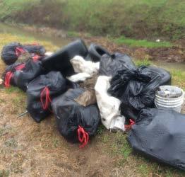 At the Manchester State Forest cleanup, volunteers combed through the