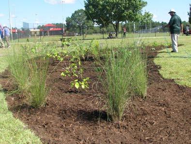 Sumter County Stormwater and Public Works excavated and leveled the site first. A few days later a hands-on rain garden workshop was held. Fourteen people attended the workshop that morning.
