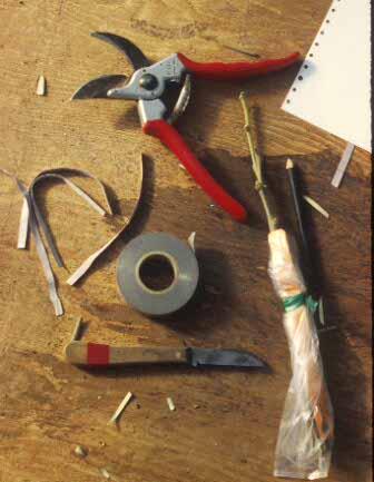 Basic tools: Grafting and Budding Budding/grafting tape