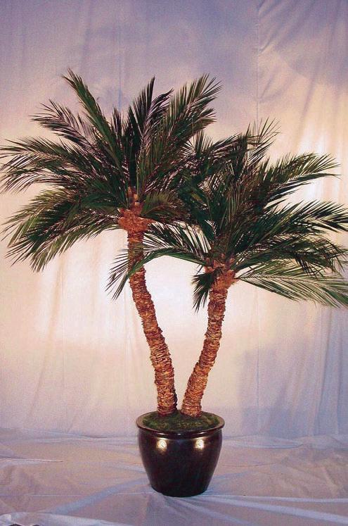 White Villa Urn Aloe Palm sizes range