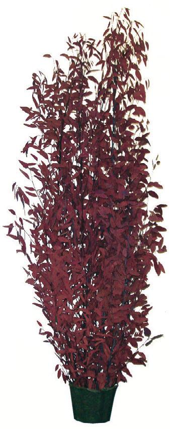 in 28 (shown in mixed cabernet) Eucalyptus Leaf