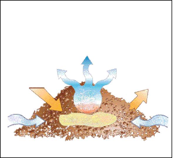The Composting Process ( it is an all natural process.