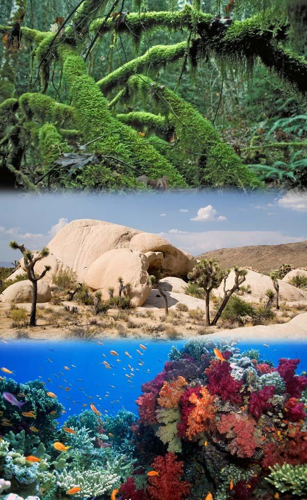 Habitats and the Environment A Science A