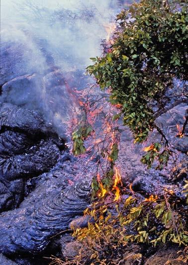 Lava burns everything in its path.