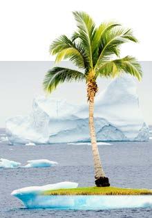 ..24 Introduction Can you imagine a wild polar bear living in Hawaii? How about a palm tree growing in Antarctica?