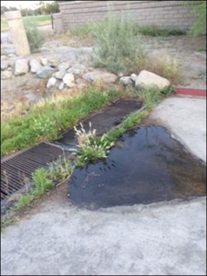 Runoff contributes to pesticide and