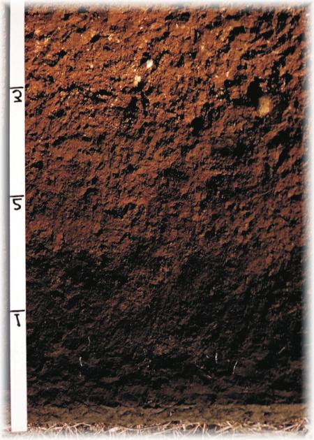 Explaining a Soil Profile HAVE YOU NOTICED at construction sites how a cross section of soil has a layered look? Soil near the top of the cross section is often dark, and soil below appears lighter.