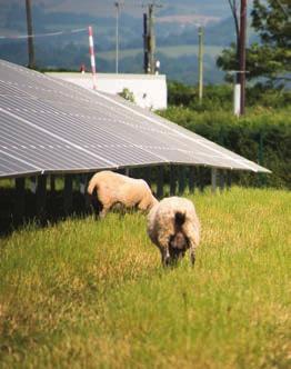 6 BRE National Solar Centre Biodiversity Guidance 7. Managing the site for biodiversity 8. Grazing Appropriate management is vital to ensuring habitat enhancements deliver benefits to biodiversity.