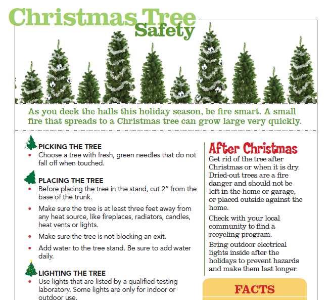 Christmas Tree Safety Message www.nfpa.