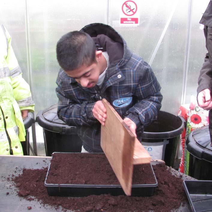 Nurture > Seed Sowing > How to fill trays with compost How to fill trays with compost In order for seeds to germinate it is important to fill trays properly.