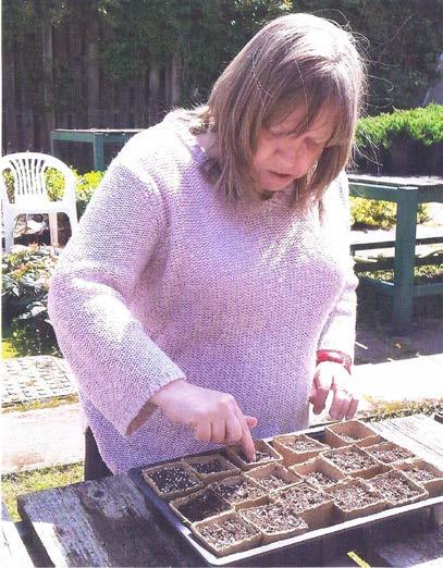 Nurture > Seed Sowing > How to sow seeds outdoors How to sow seeds outdoors (3 different sizes) You may want to discuss with participants what is a seed? Is it a vegetable or a flower seed?