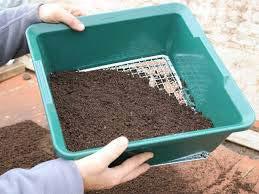 Nurture > Seed Sowing > How to sow seeds indoors > Flashcards