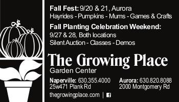 (Continued from page 5) Plants for Fall Festivities There are still many weeks to enjoy cold tolerant plants, either in containers or in the ground.