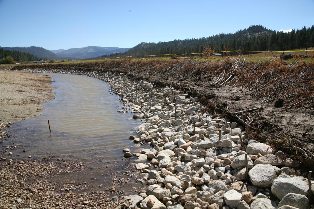 Disadvantages Not always successful in Lake Tahoe Region s dry climate, especially on south or southwest slopes.