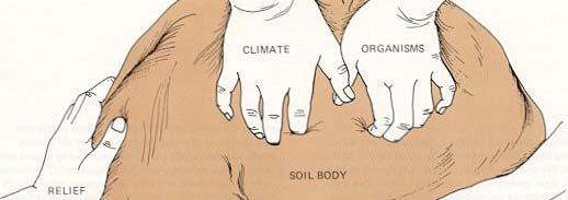 The Five Soil Forming Factors Soil