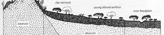 Geomorphic Landforms This illustrates t the geologic setting or the landscape where the soil occurs.