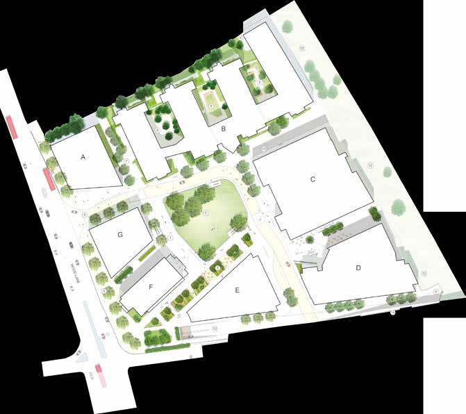 the public areas within the campus and the maximum amount of development // Set maximum heights 6 to 13 storeys