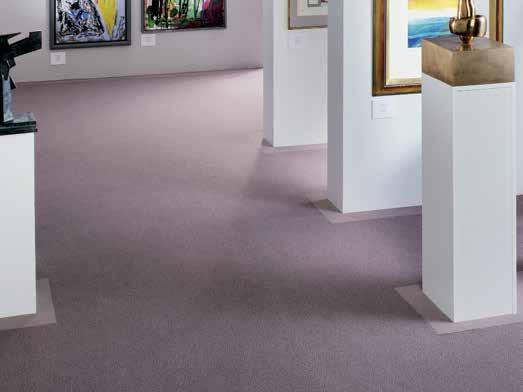 Sarlon acoustic vinyl products can be mixed and matched to highlight walkways and areas.